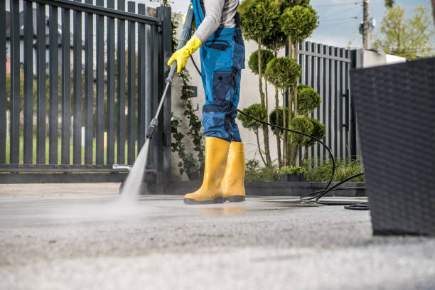 Best Graffiti Removal  in Vassar, MI